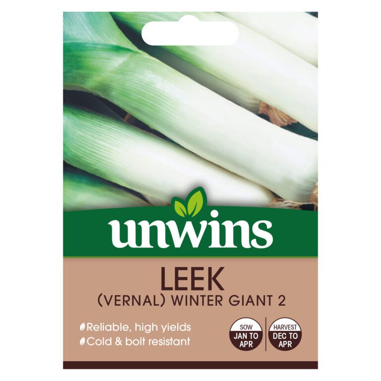 5051618031912 1 Leek Vernal Winter Giant 2 Seeds.jpg